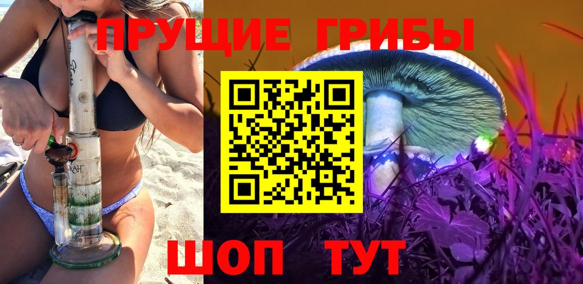 Галлюциногенные грибы Psilocybine cubensis Дубна